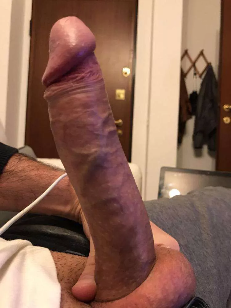 would you like a warm seat? dm's are welcomed
