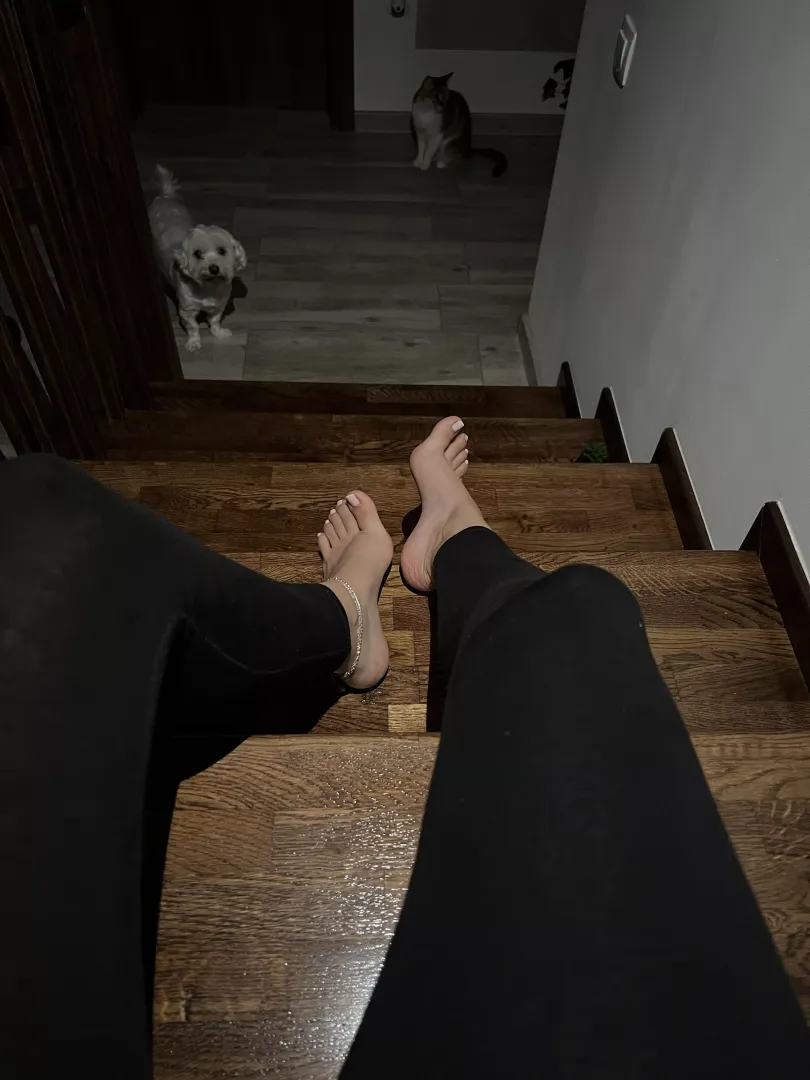 Would you like to be in my puppy's place?