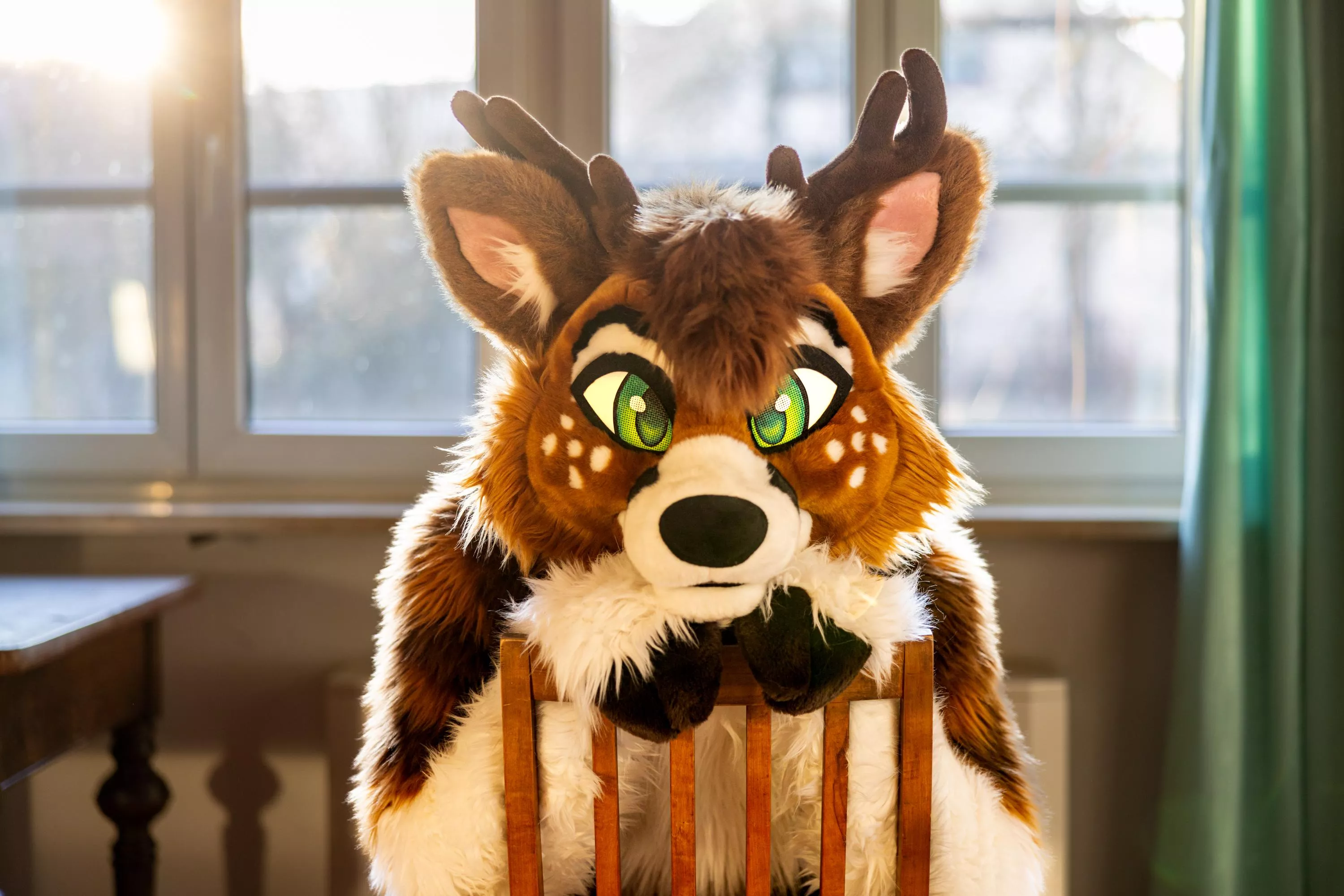 Would you like to hang out with @Nico_deer? (found on Twitter)