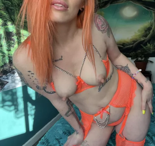 Would you milk them 