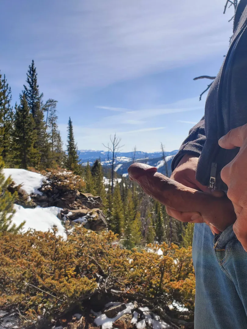 Would you mind a hiking partner like me?