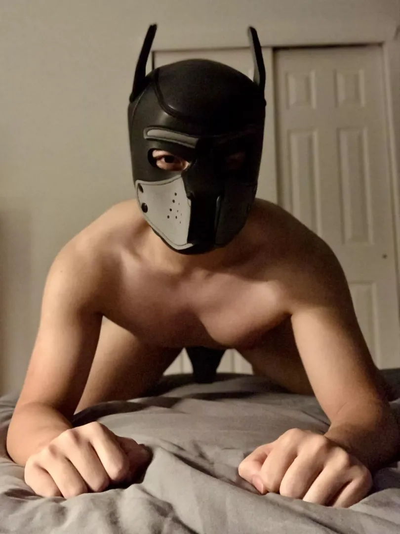 Would you order me on all fours? 🥺 [M20 Asian]