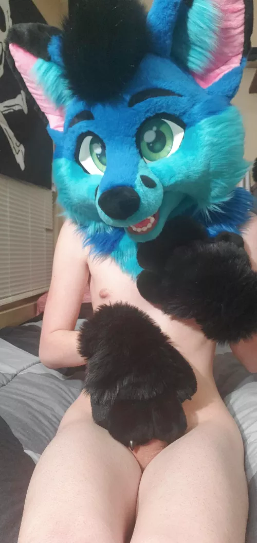 Would you sit on my lap? :3