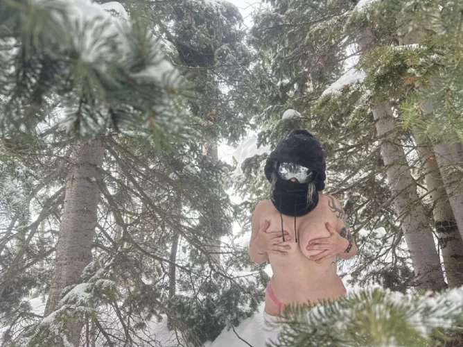 would you ski right past me or stop to play?
