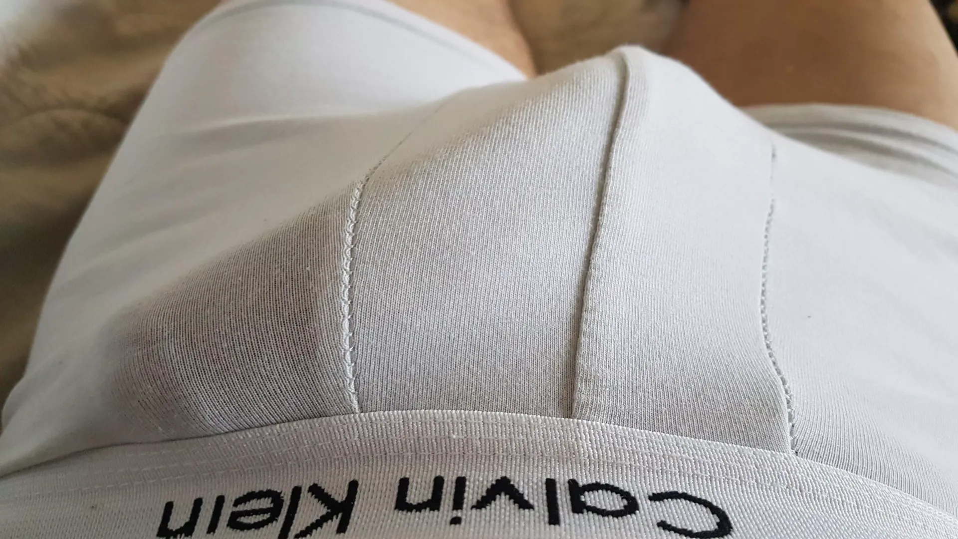 Would you stroke it?