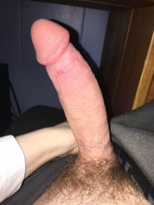 would you worship this cock? DMs open
