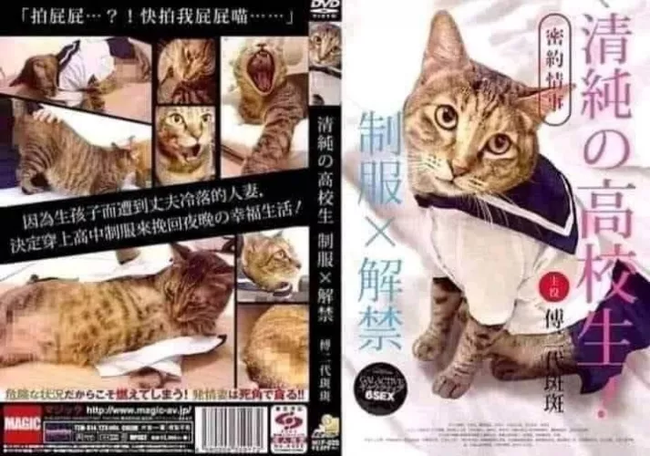 Wtf?