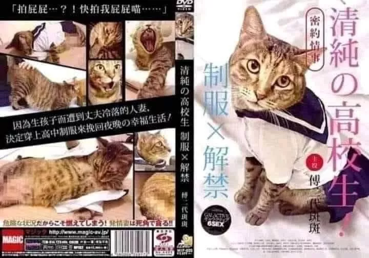 Wtf?