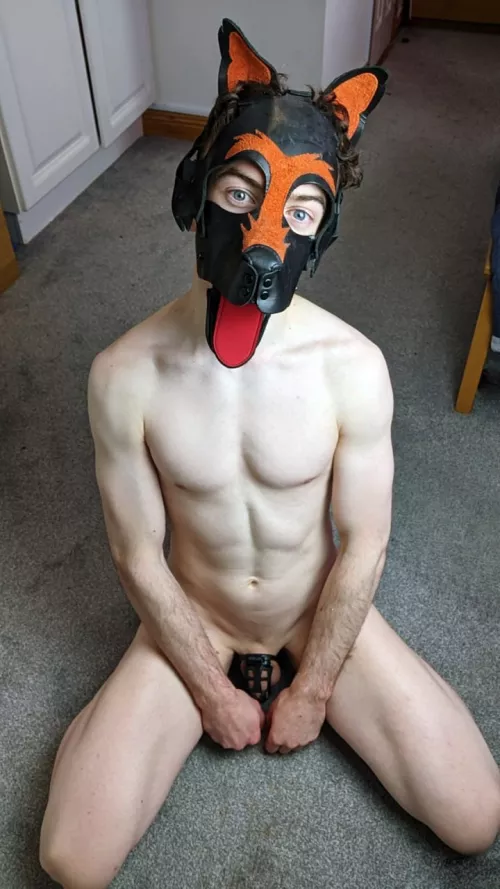 Wuff!