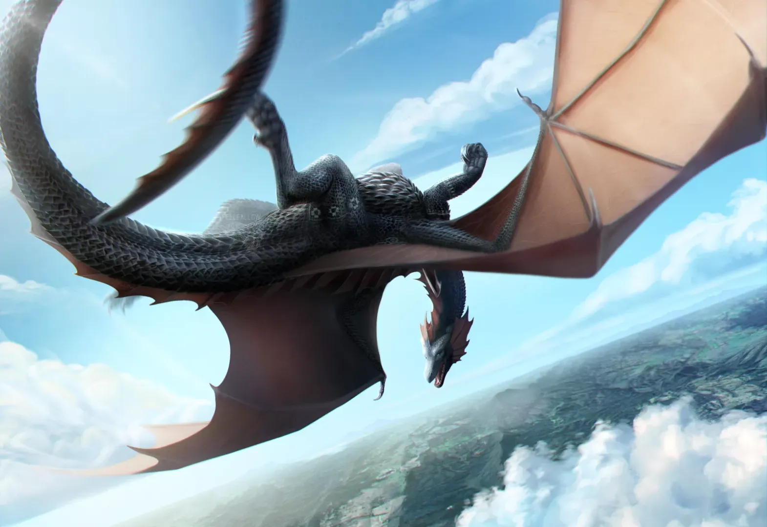 [X] Aerobatics