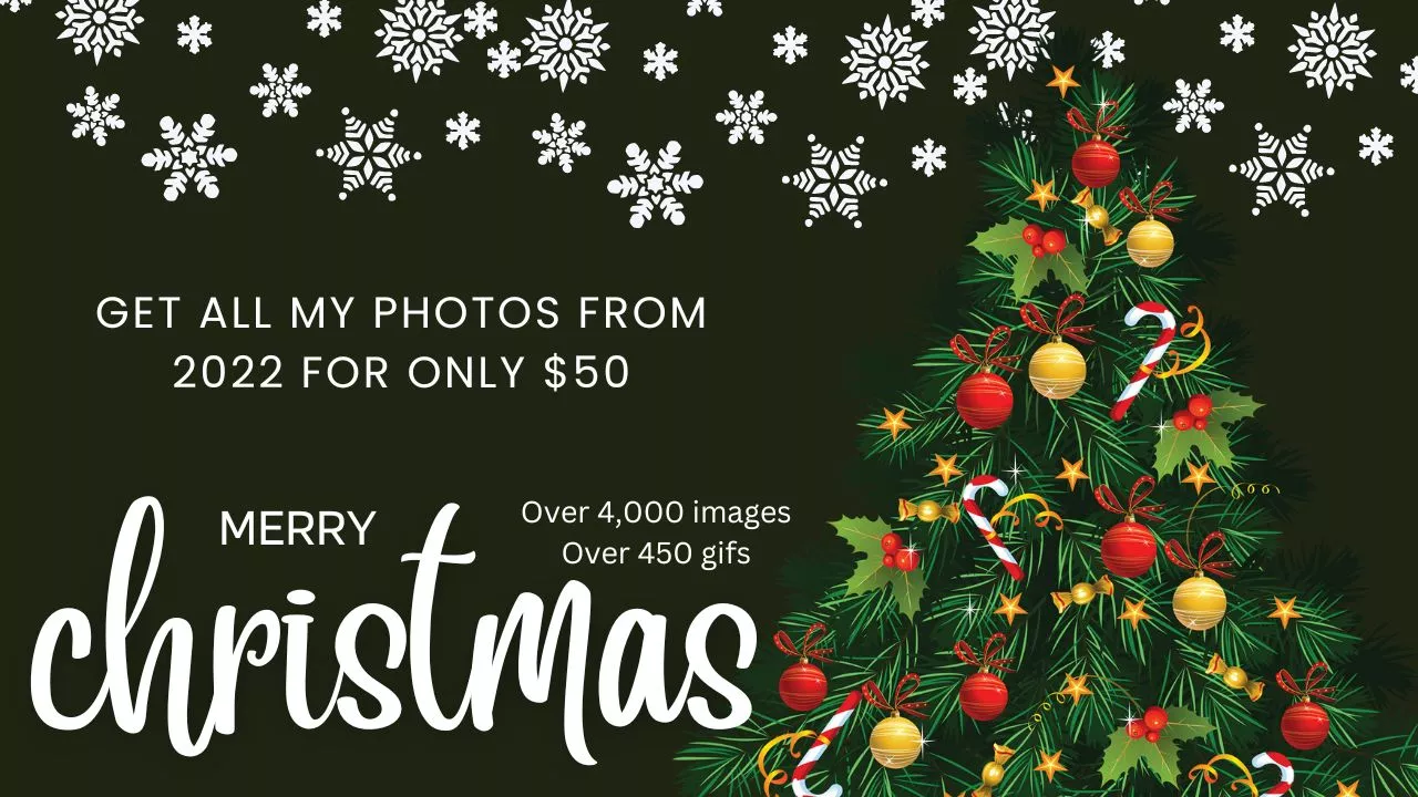 xxxmas deal?