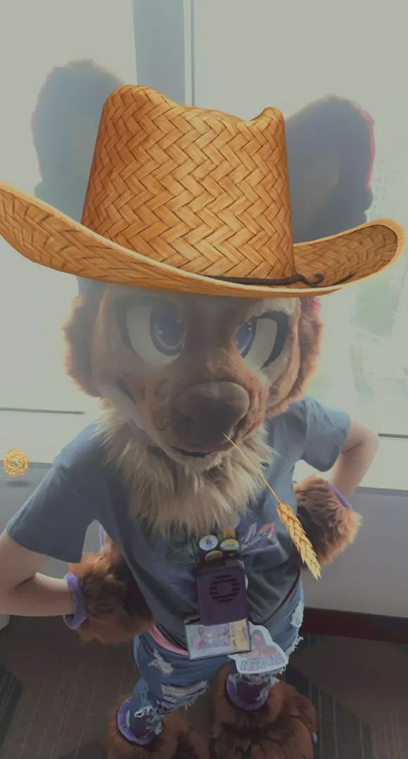 Yee haw??