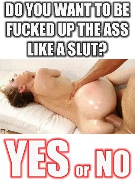 Yes or no?