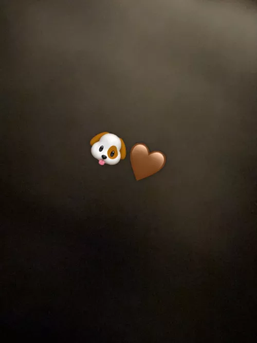 You are a dogowner? 🐶🤎