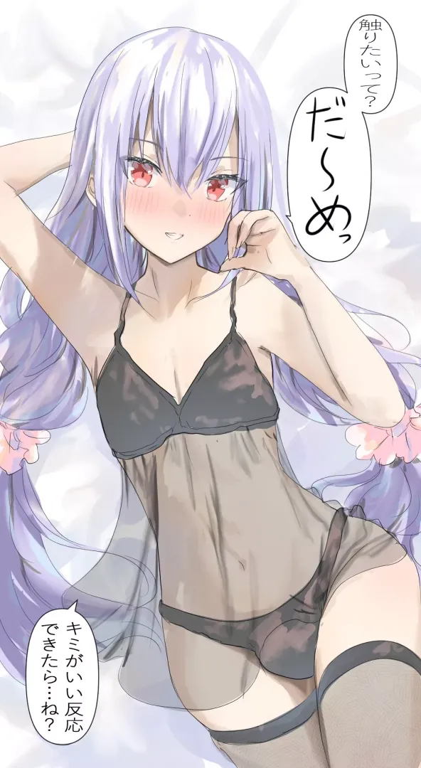 You can only look