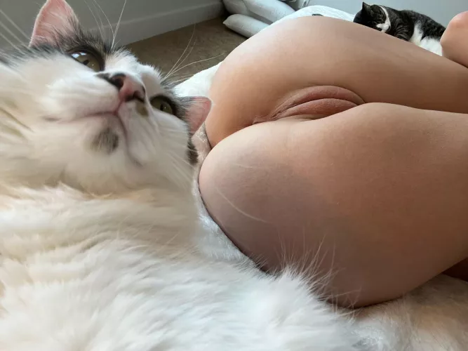 You can pet the two fluffy pussies, and then do anything you want to my pussy 😉