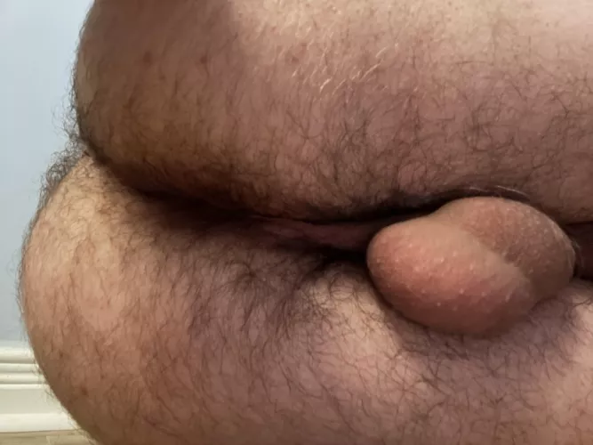 You come home after a long day at work and this is your first view, how do you feel?