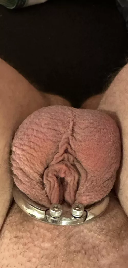 You ever saw something smaller ?