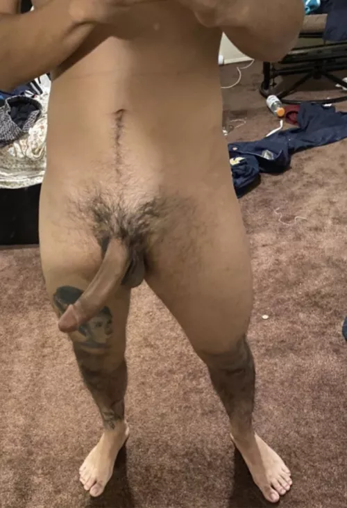 You like this cock ?