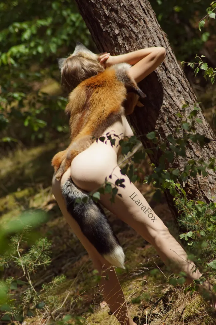 You need to bring your tail outside from time to time