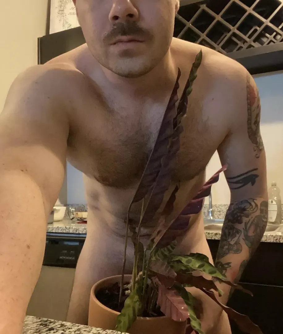 You should be at church today, but here you are… looking at a plant and a mustache.