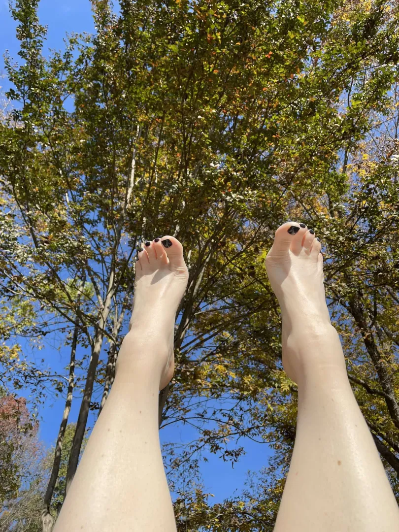 You should see this view