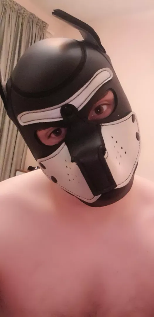 You talking to me?
