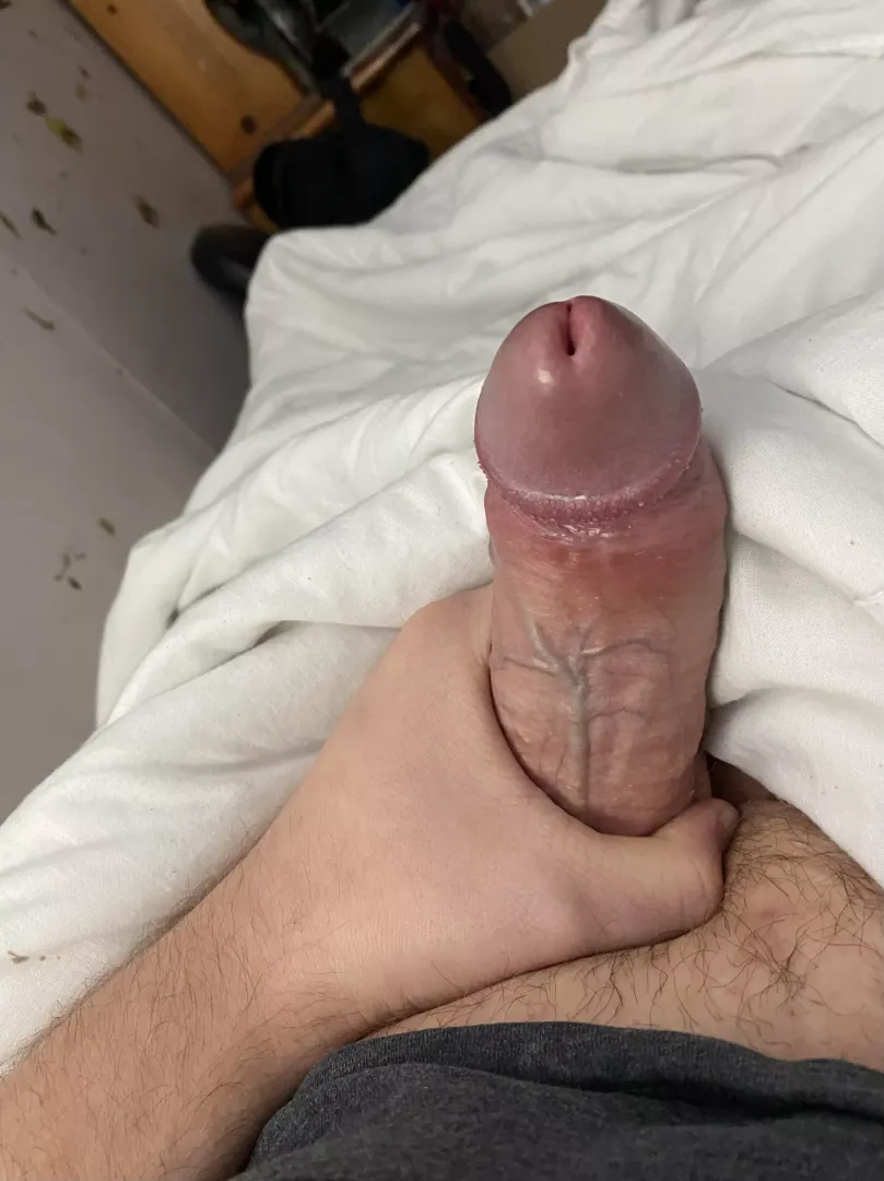 You wake up to this and do what?