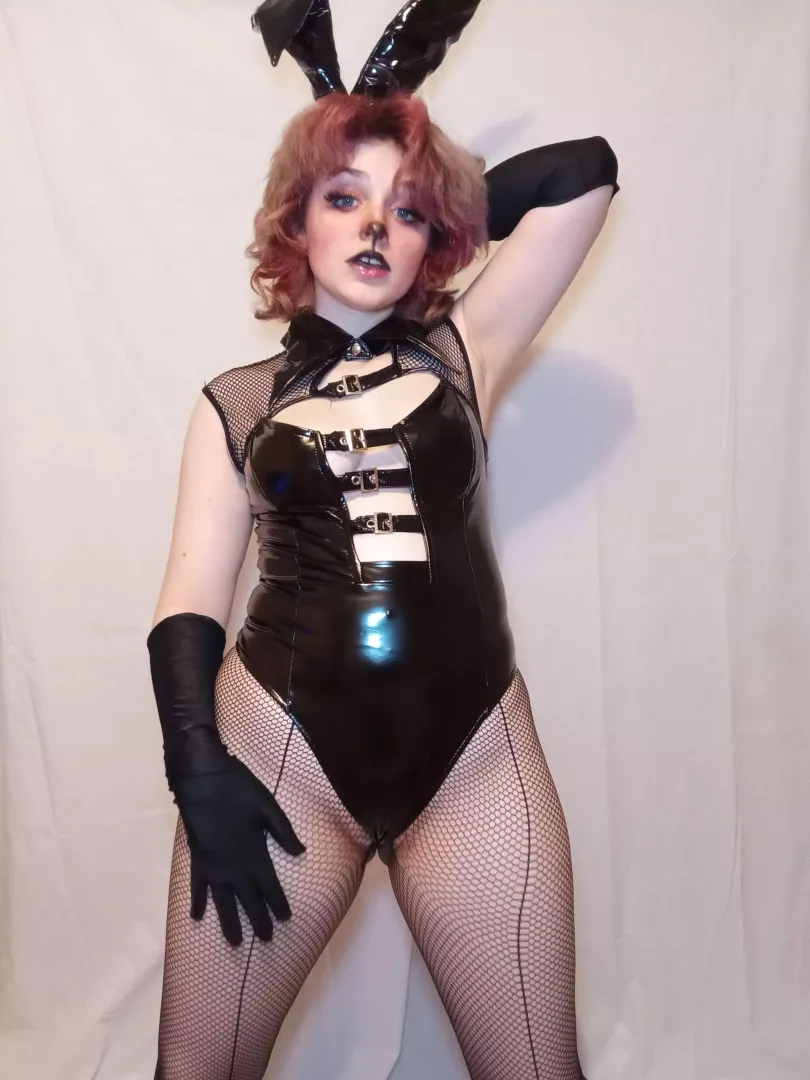 You won't believe how deep my rabbit holes go