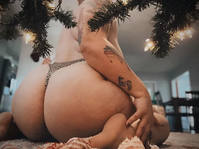 Your Christmas present has arrived
