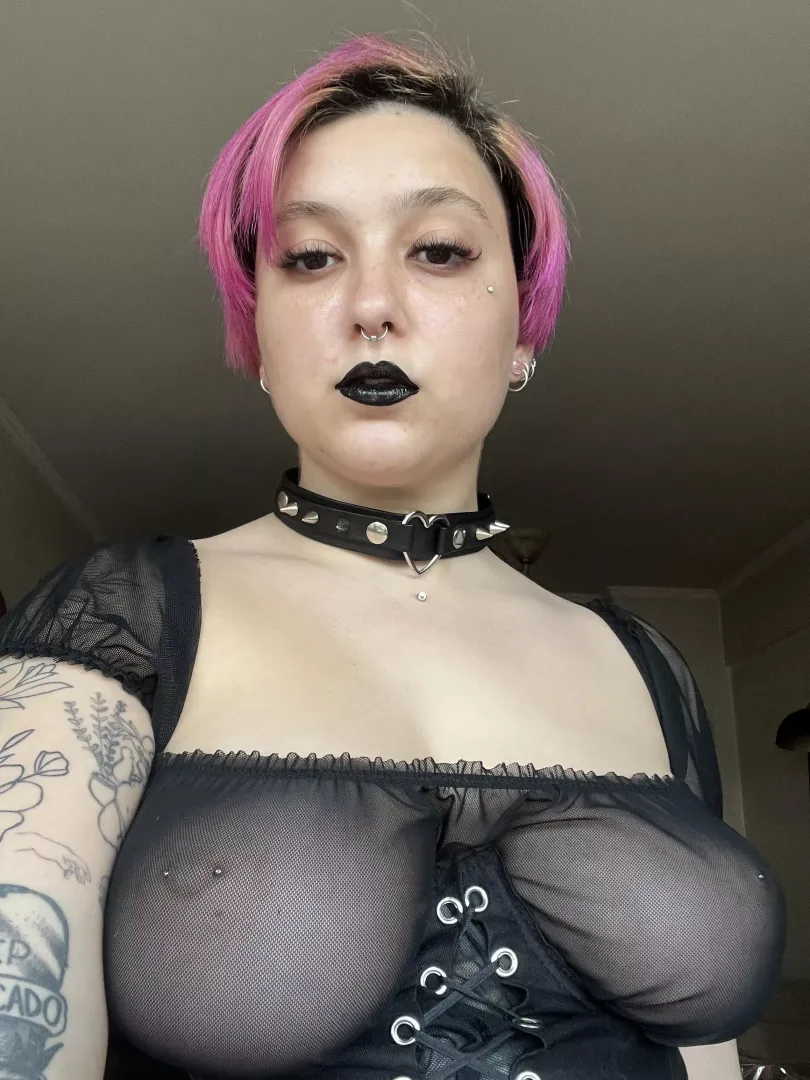 Your dream [domme] go to my profile it’s a order