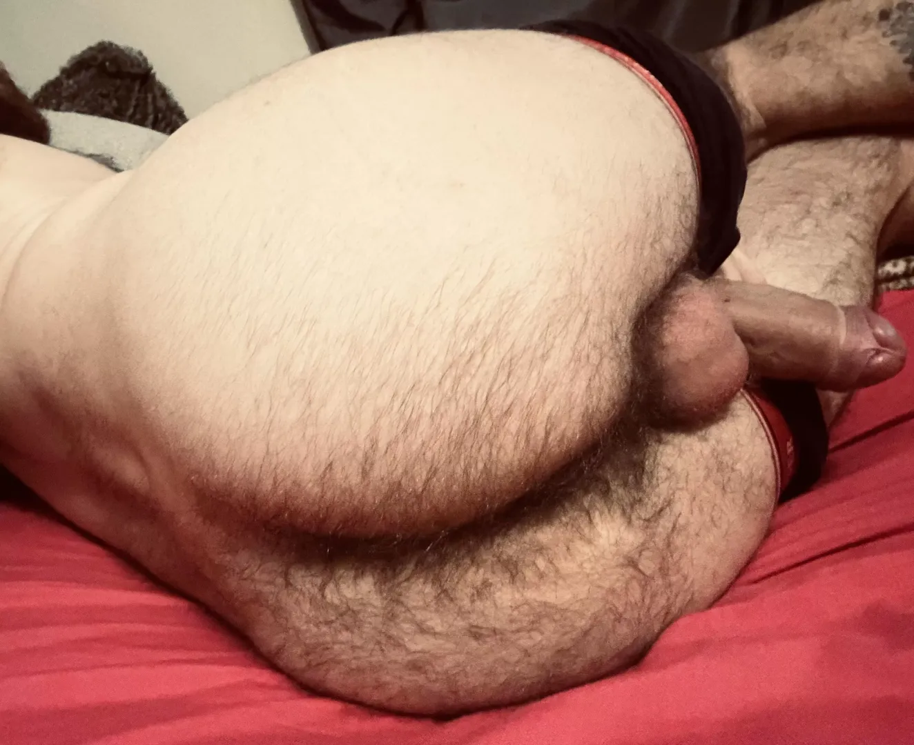 Your fantasy view x