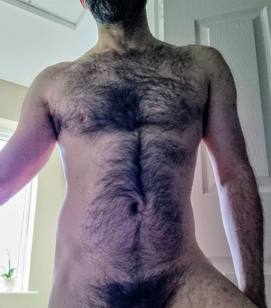 Your friendly werewolf 🐺