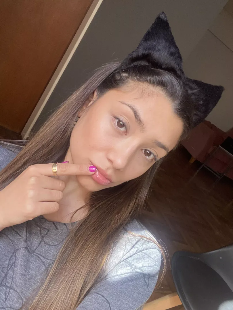 your new fav kitty