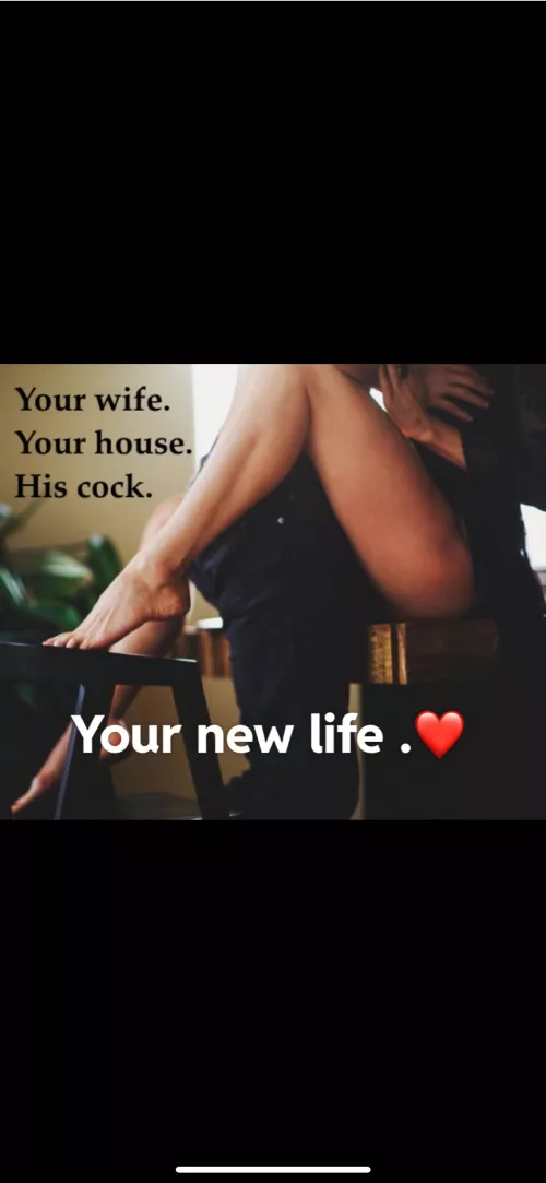 Your new life