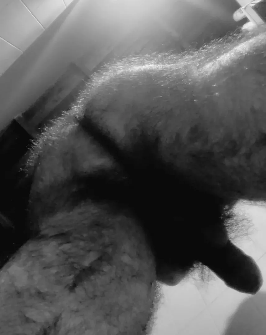 Your view just before I mark your face with my scent