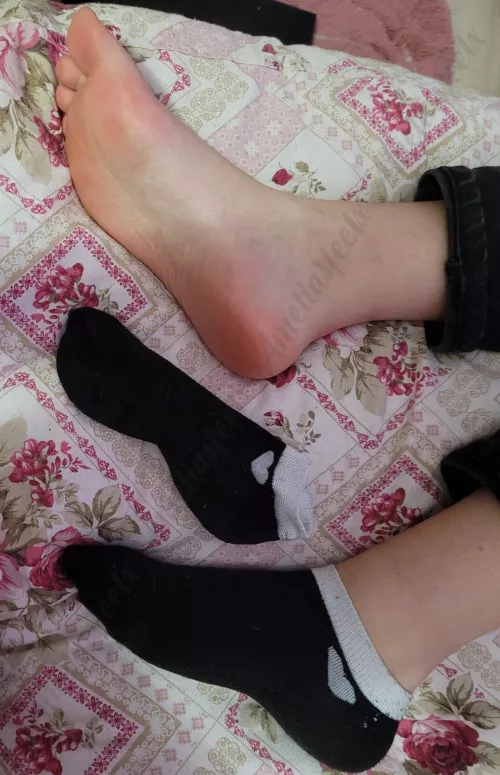 You're a slave for my dirty socks 😈