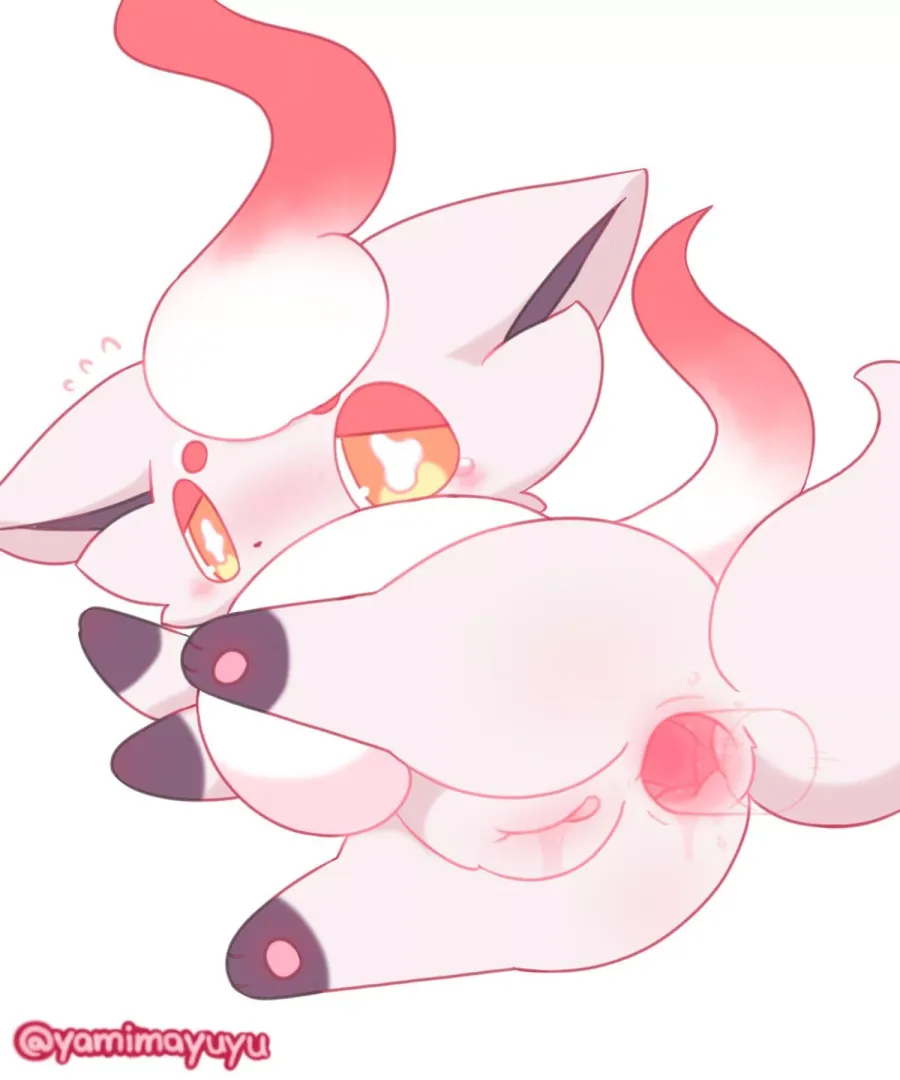 Zorua wants you to be gentle[F]