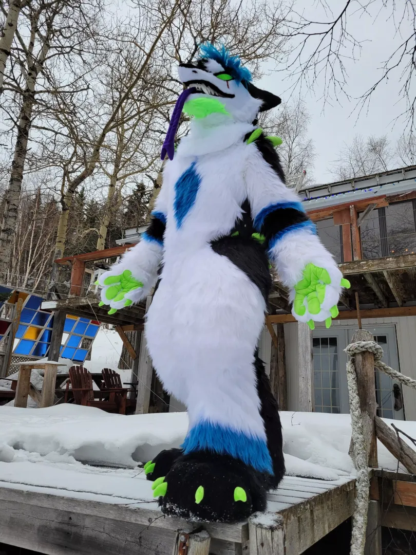 Zvork Howling